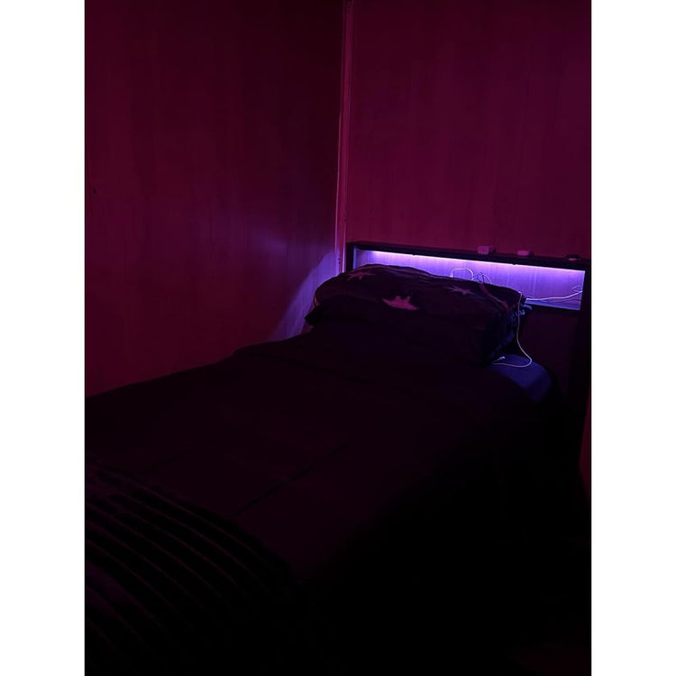 Furnulem Full Size Bed Frame with Charging Station and LED Lights